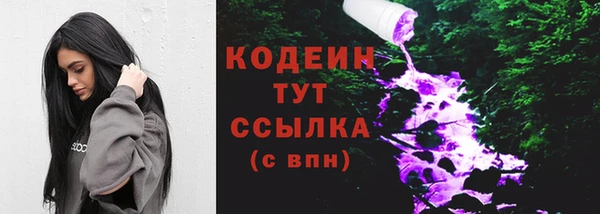 дмт Заводоуковск