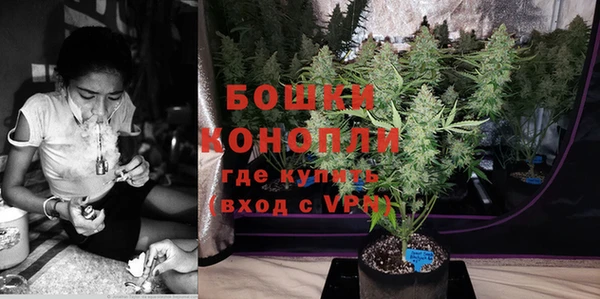 дмт Заводоуковск