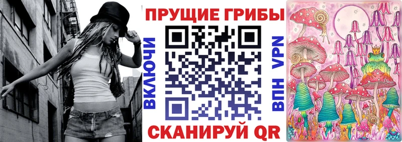 Псилоцибиновые грибы мицелий Купить где Орлов